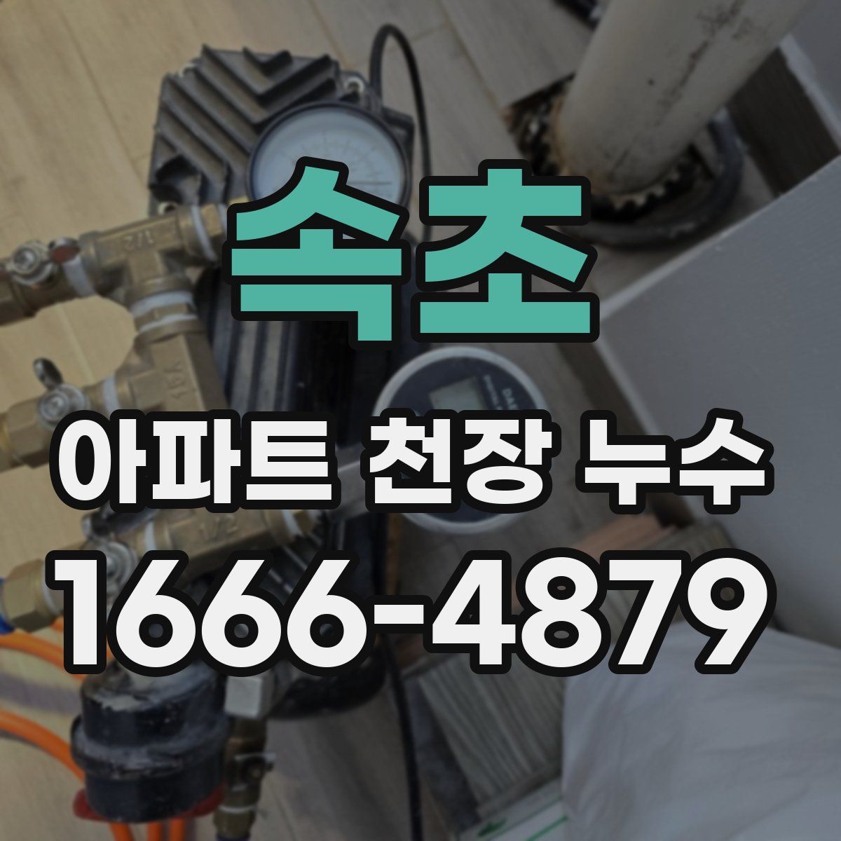 속초 아파트 천장 누수