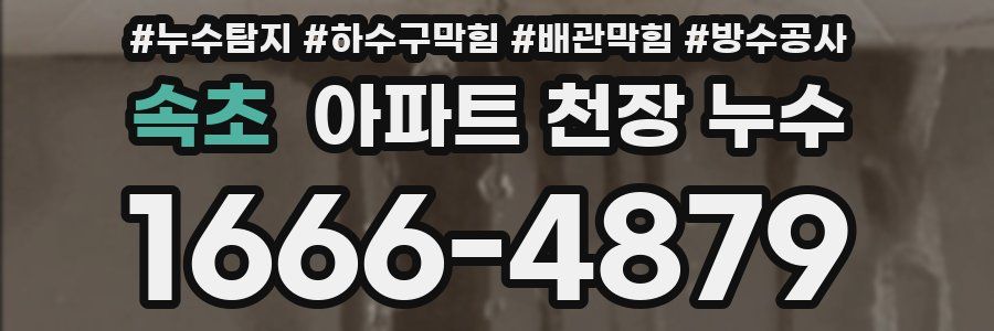 속초 아파트 천장 누수