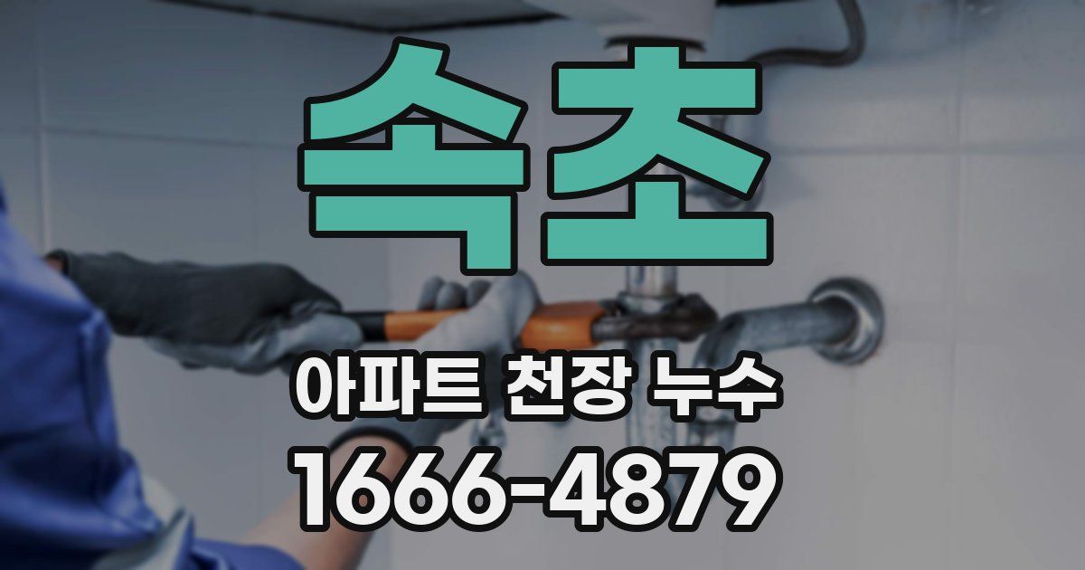 속초 아파트 천장 누수
