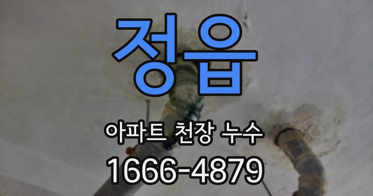 정읍 아파트 천장 누수
