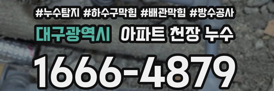 대구광역시 아파트 천장 누수