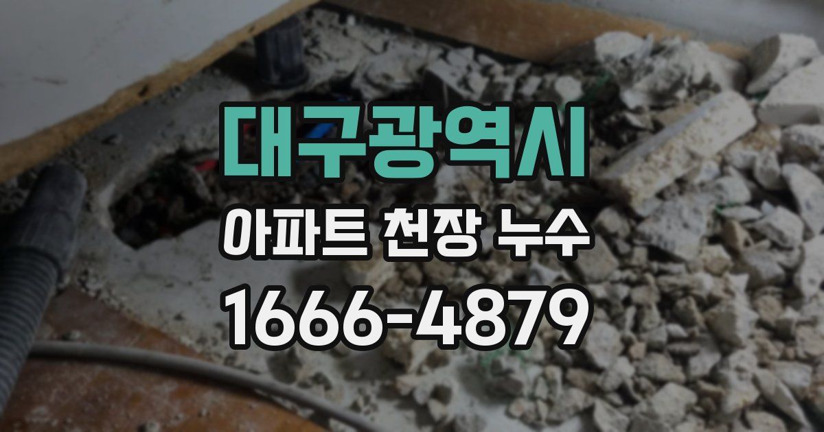 대구광역시 아파트 천장 누수