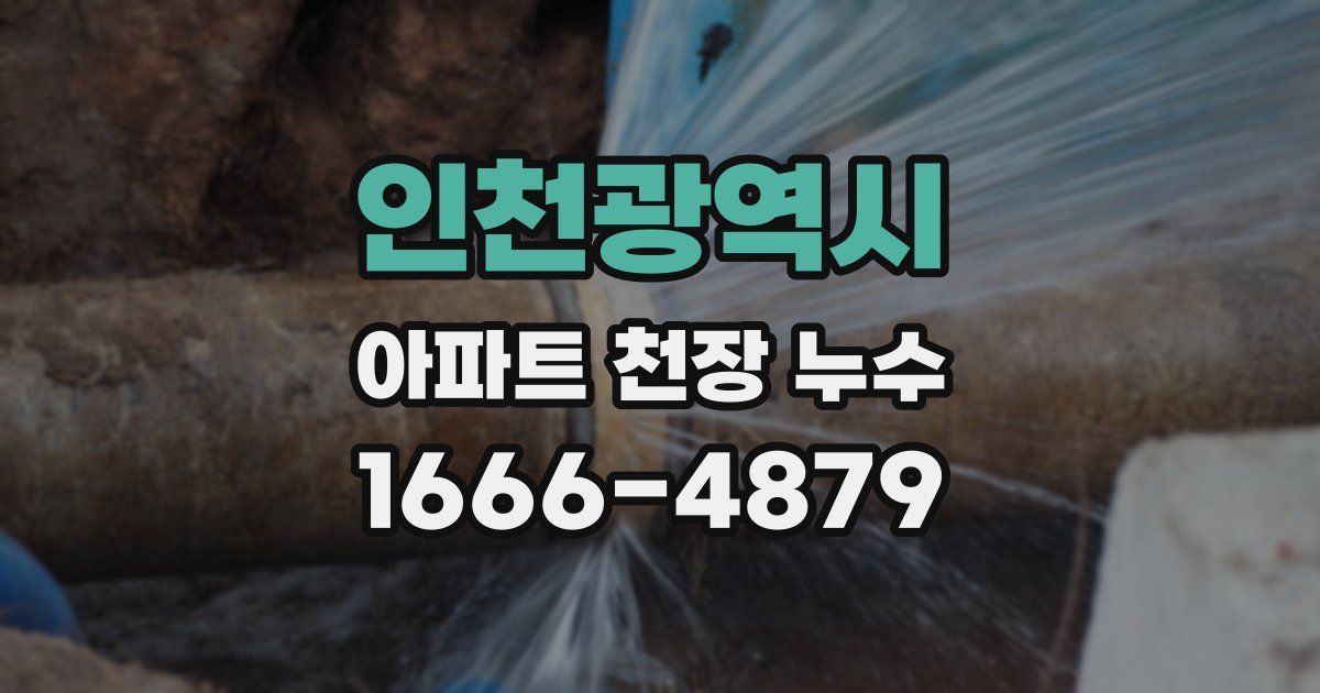 인천광역시 아파트 천장 누수