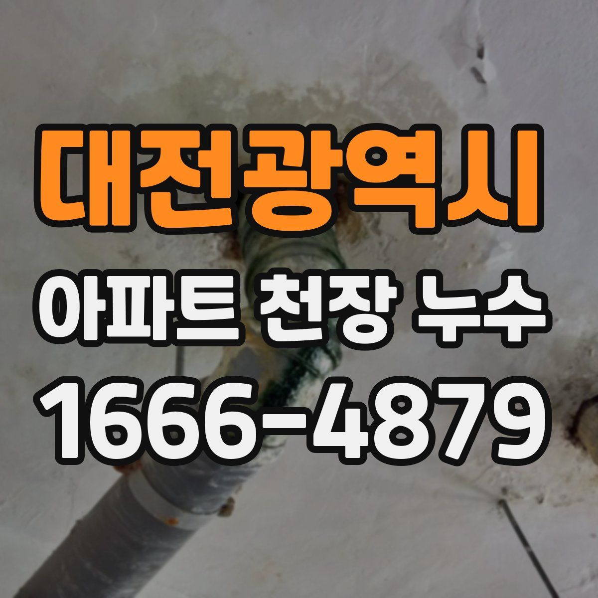 대전광역시 아파트 천장 누수
