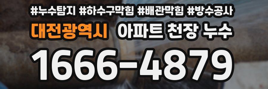 대전광역시 아파트 천장 누수