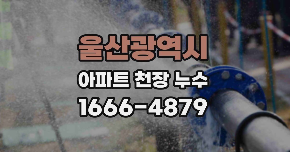 울산광역시 아파트 천장 누수