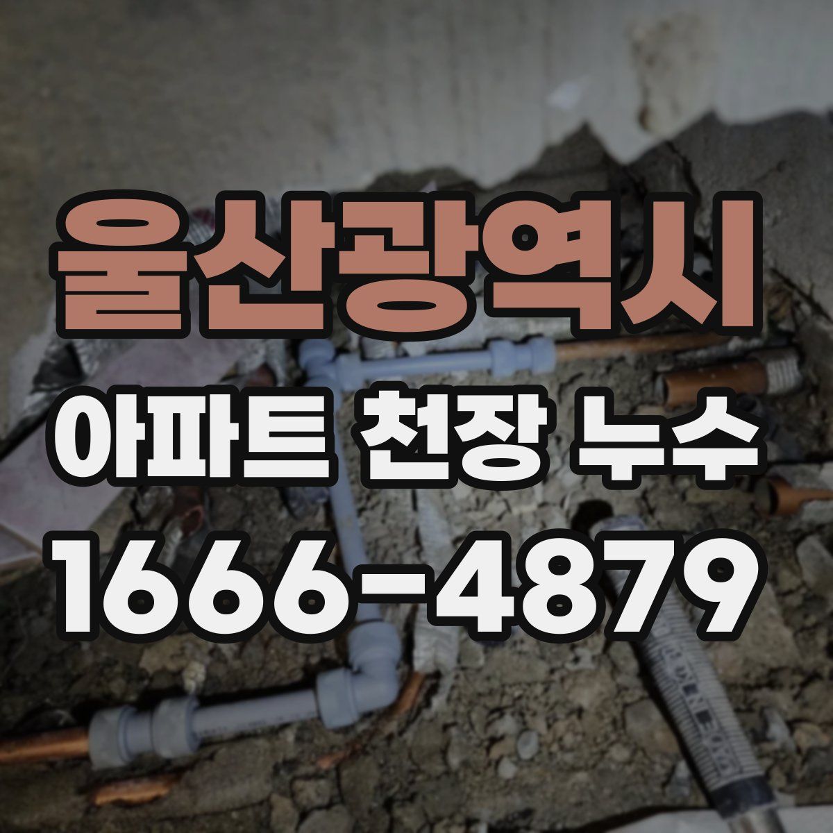 울산광역시 아파트 천장 누수