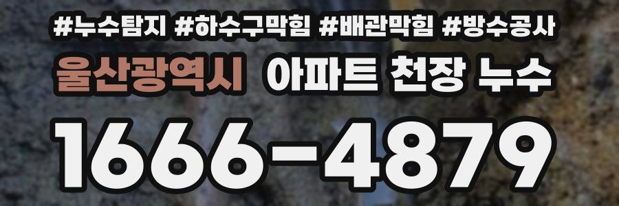 울산광역시 아파트 천장 누수