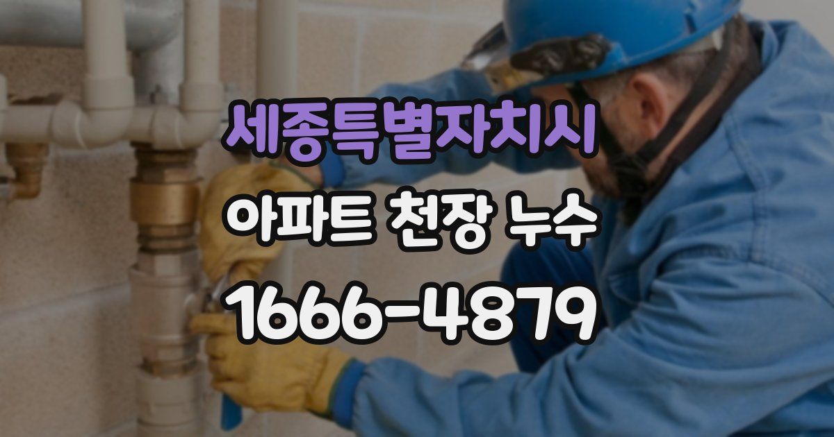 세종특별자치시 아파트 천장 누수