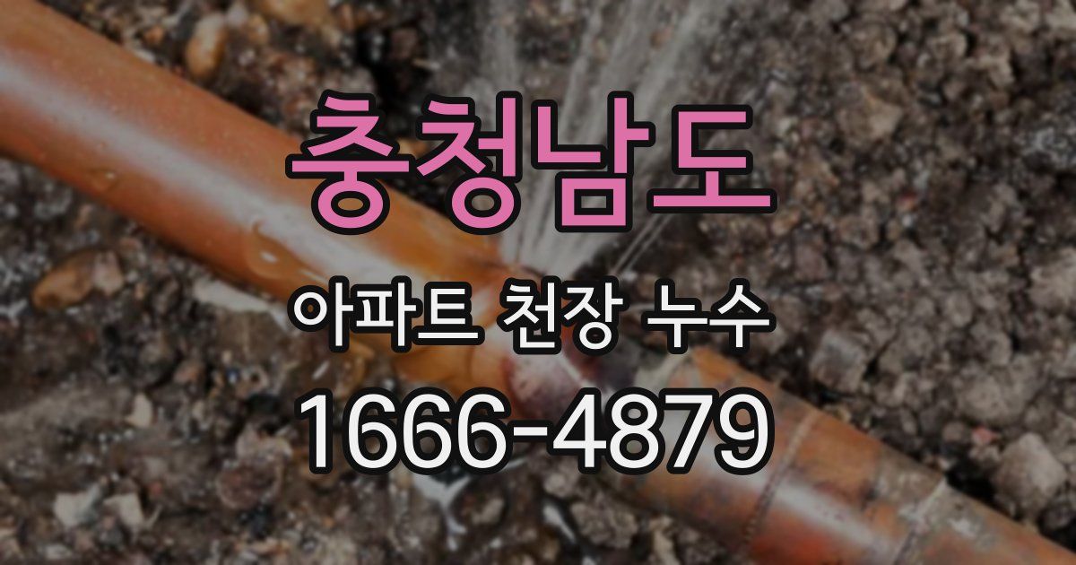 충청남도 아파트 천장 누수