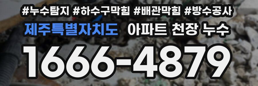 제주특별자치도 아파트 천장 누수