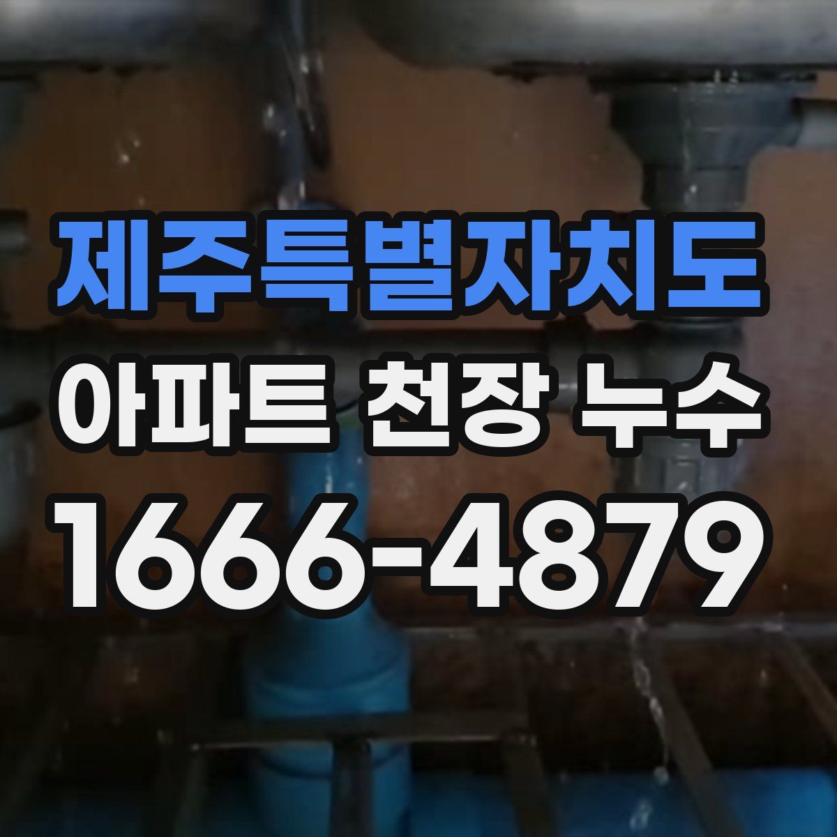 제주특별자치도 아파트 천장 누수