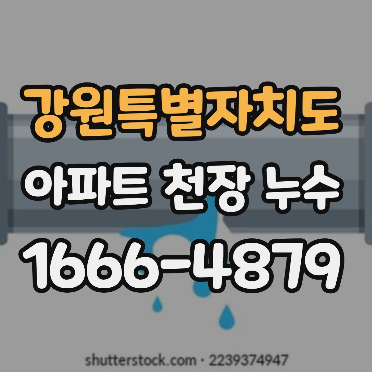 강원특별자치도 아파트 천장 누수