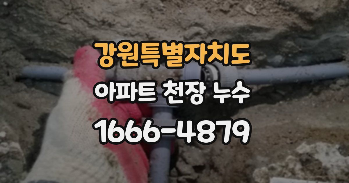 강원특별자치도 아파트 천장 누수