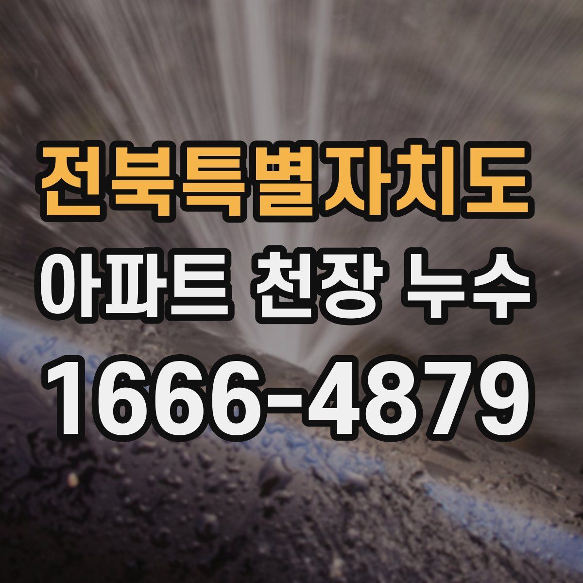 전북특별자치도 아파트 천장 누수