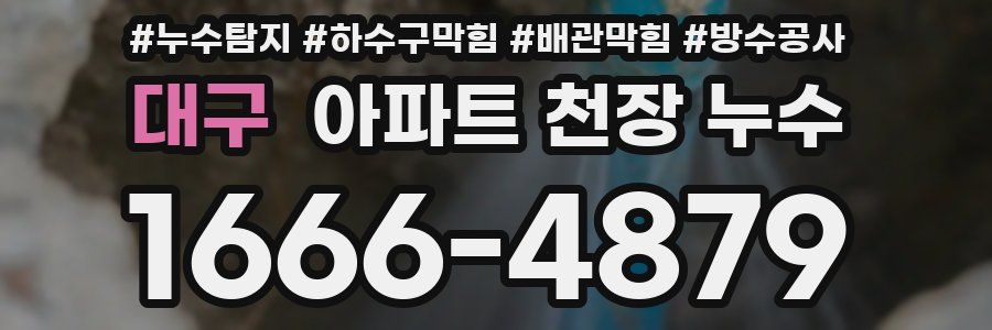 대구 아파트 천장 누수
