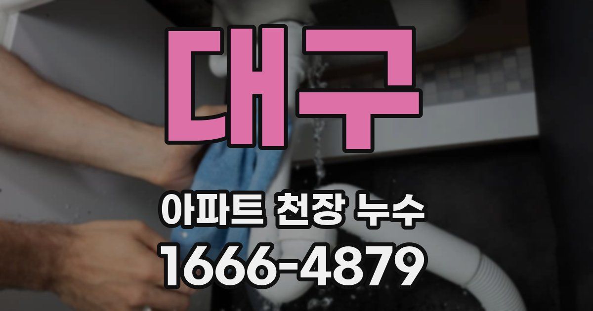 대구 아파트 천장 누수