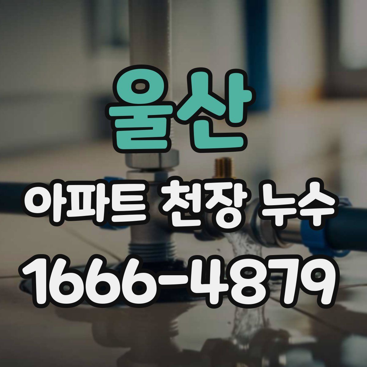 울산 아파트 천장 누수