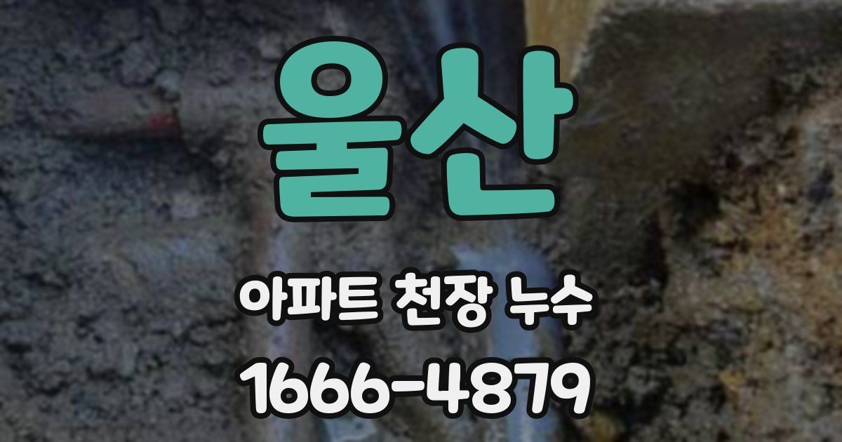 울산 아파트 천장 누수