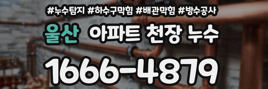 울산 아파트 천장 누수