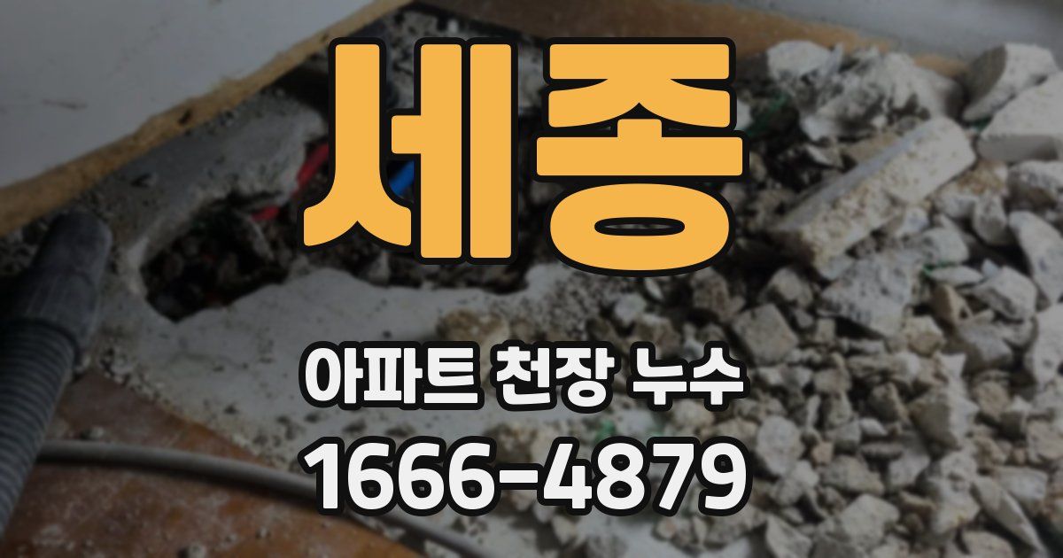 세종 아파트 천장 누수