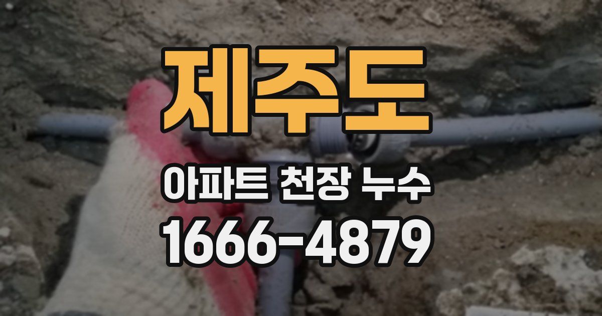제주도 아파트 천장 누수