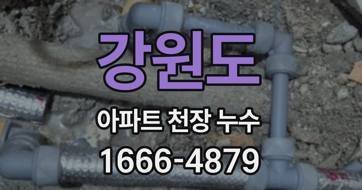 강원도 아파트 천장 누수