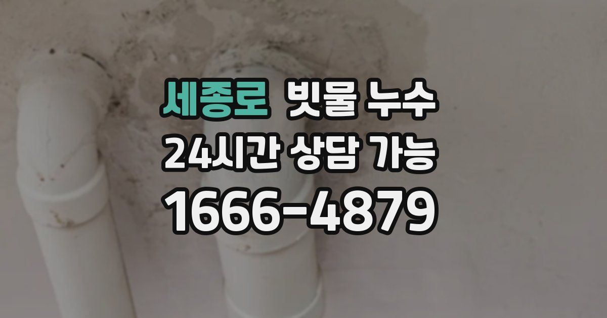 세종로 빗물 누수