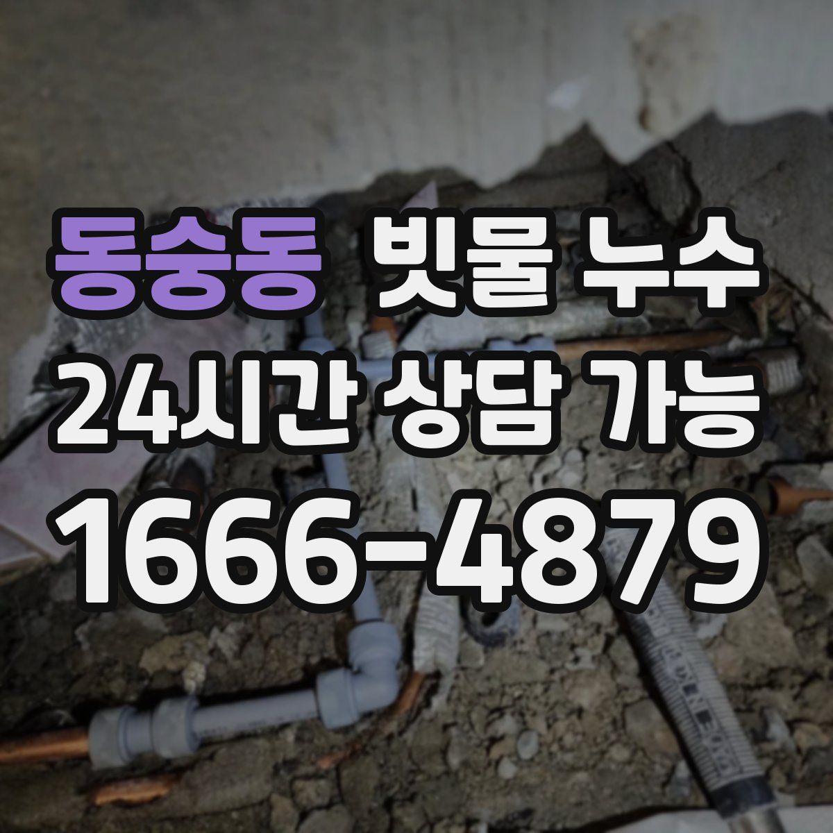 동숭동 빗물 누수