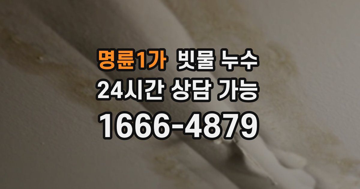명륜1가 빗물 누수