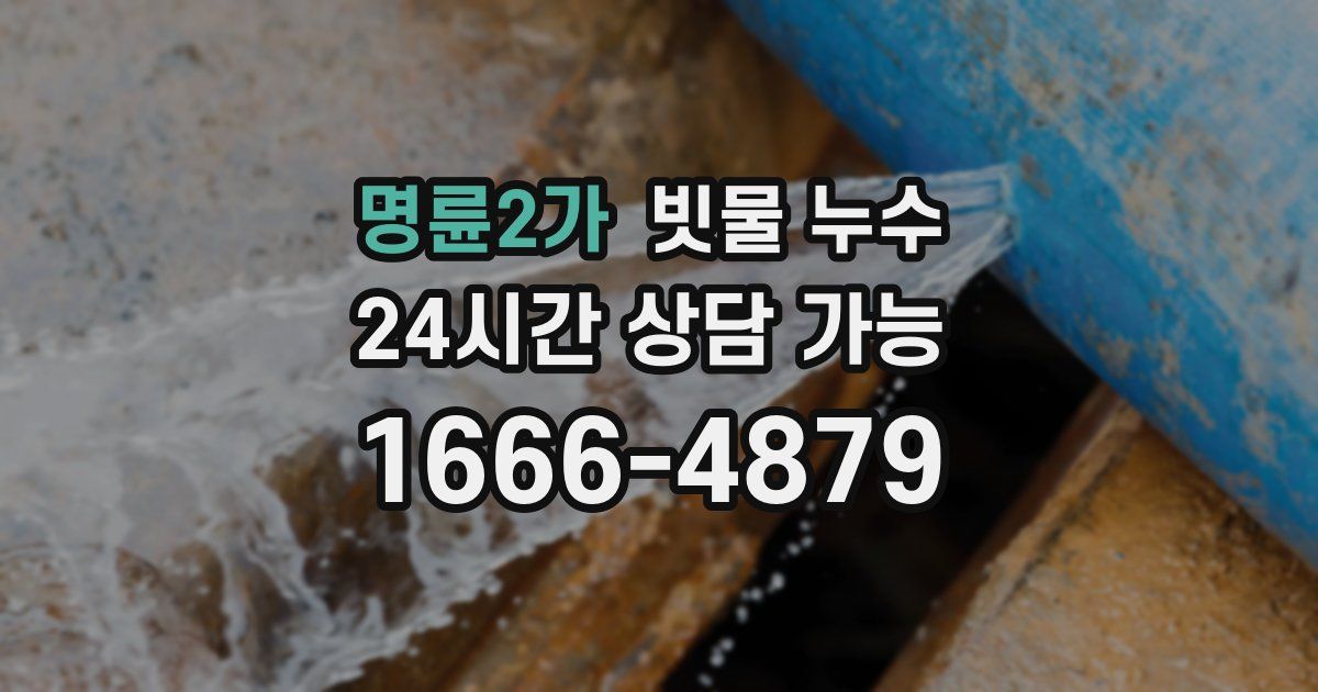 명륜2가 빗물 누수