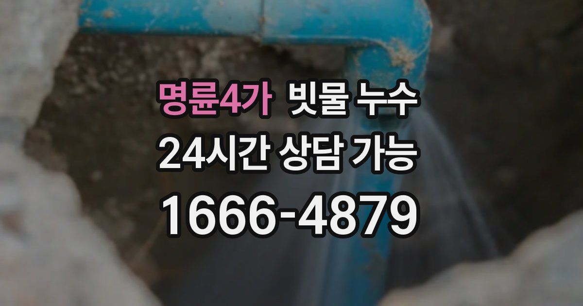 명륜4가 빗물 누수