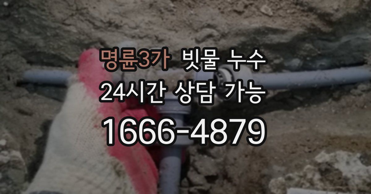 명륜3가 빗물 누수