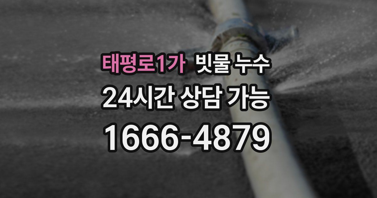 태평로1가 빗물 누수