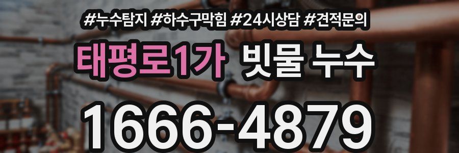 태평로1가 빗물 누수