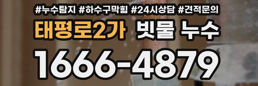 태평로2가 빗물 누수