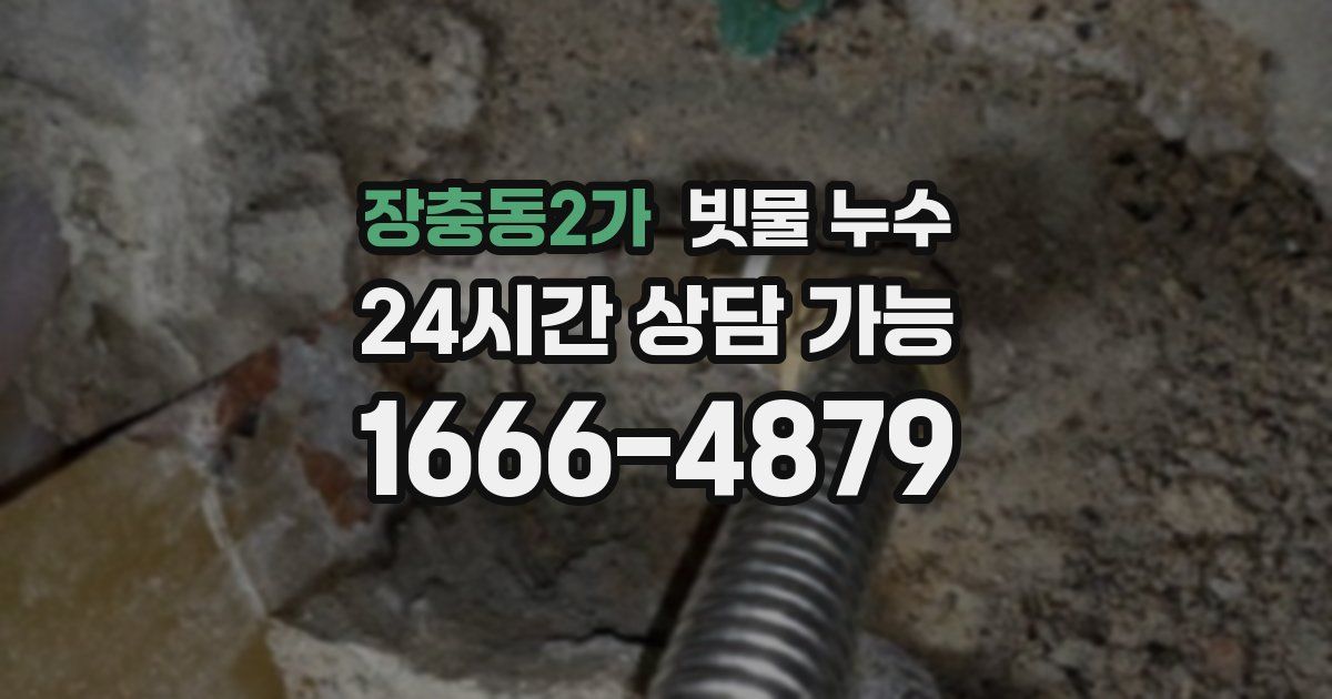 장충동2가 빗물 누수