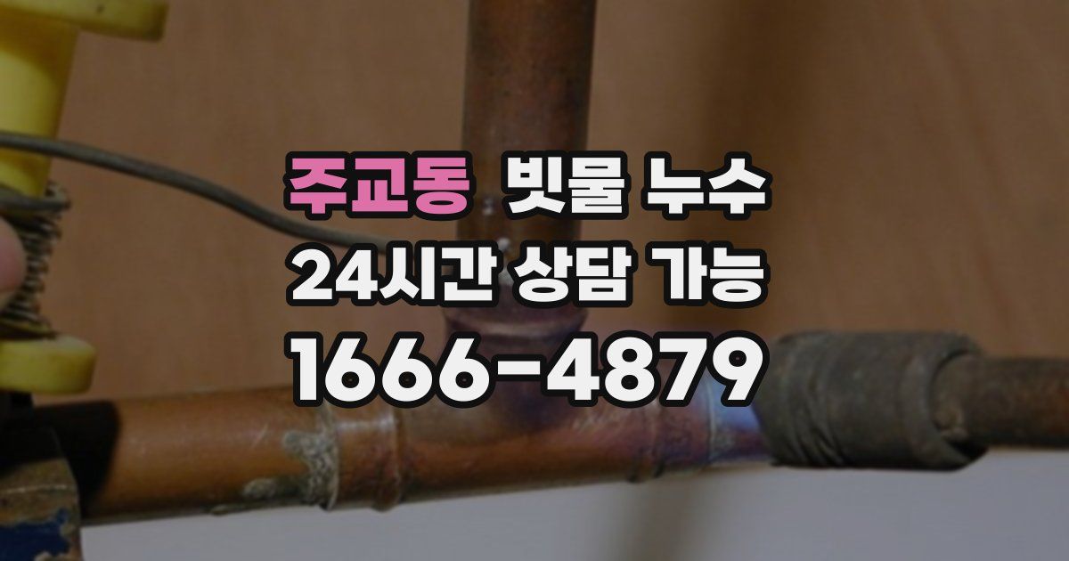 주교동 빗물 누수