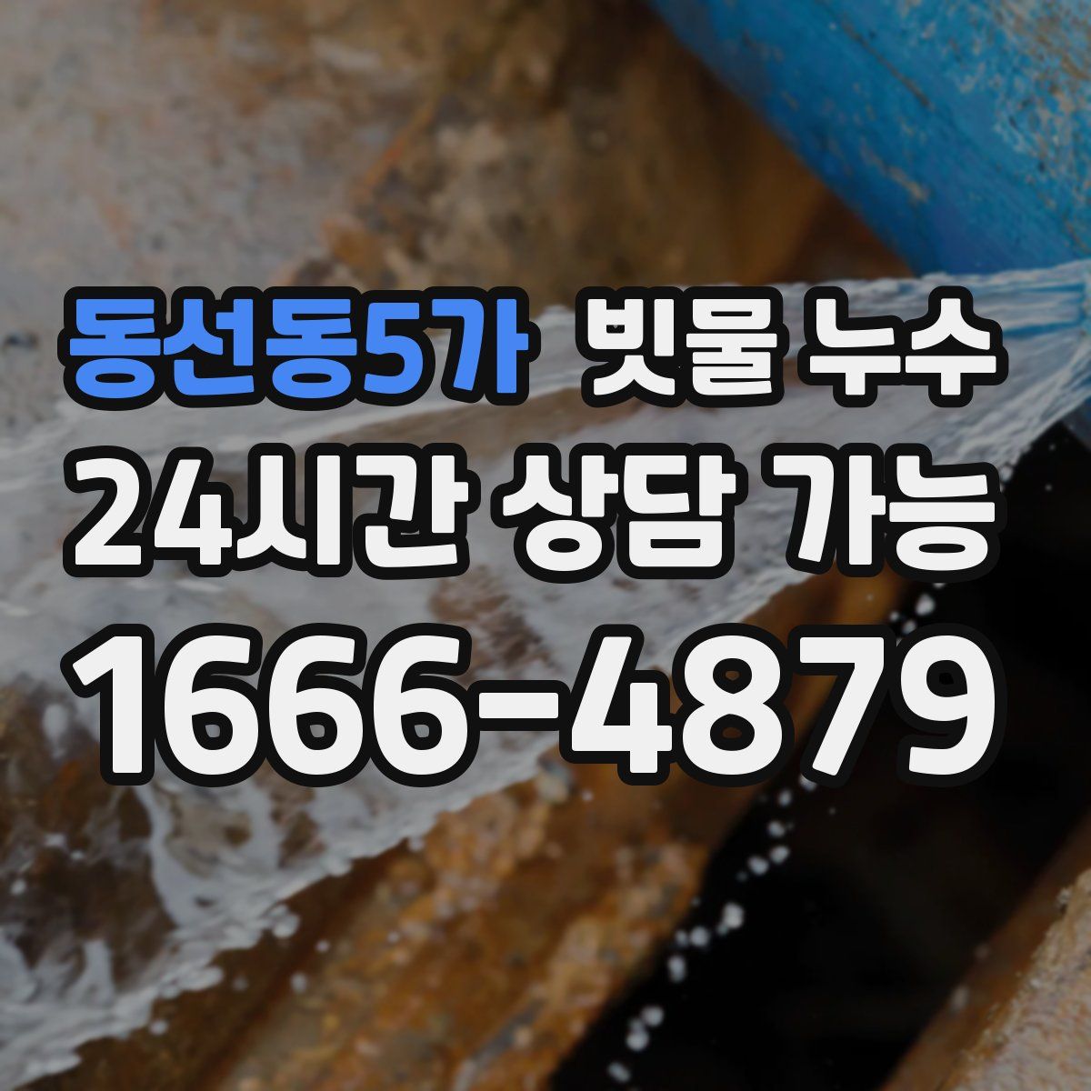동선동5가 빗물 누수