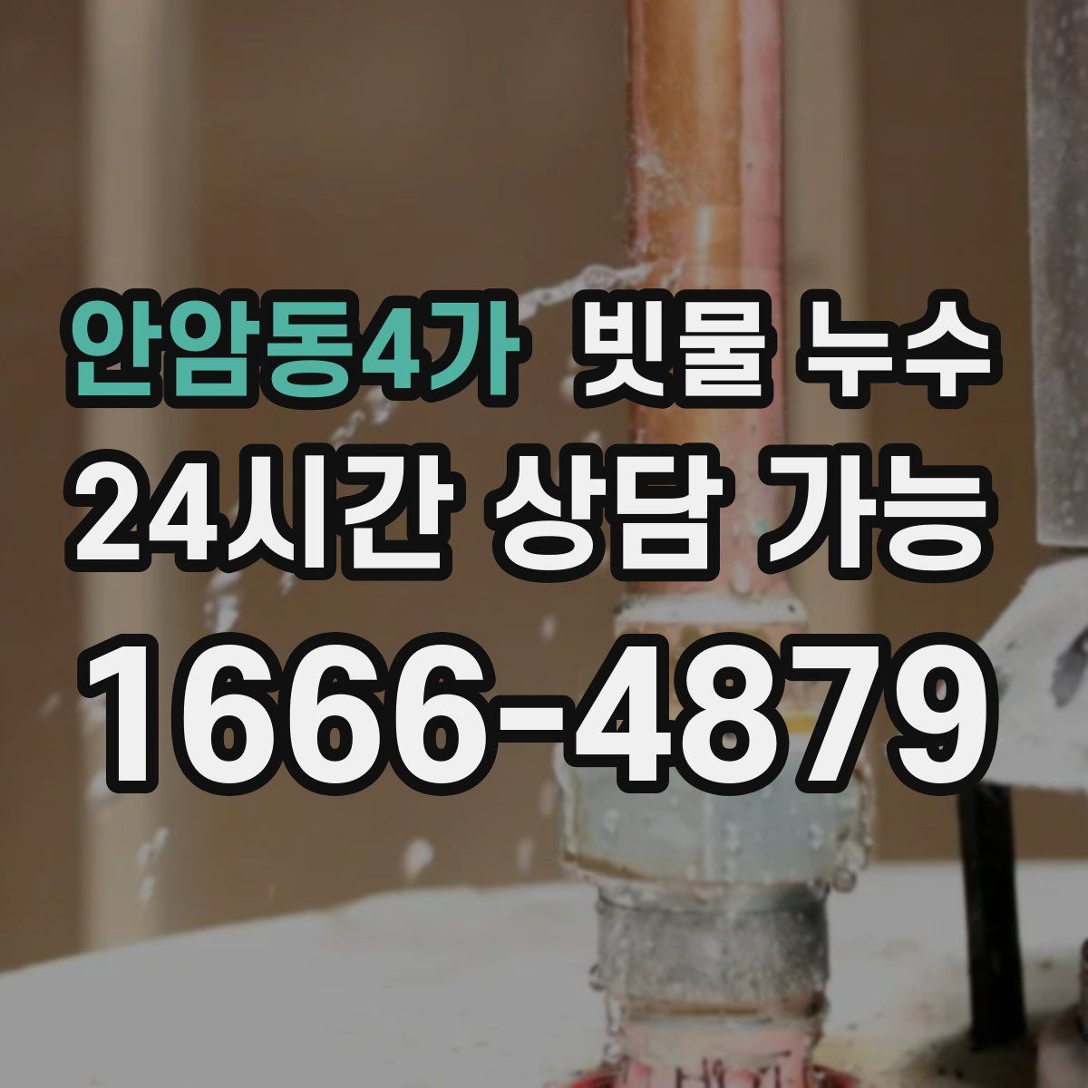 안암동4가 빗물 누수