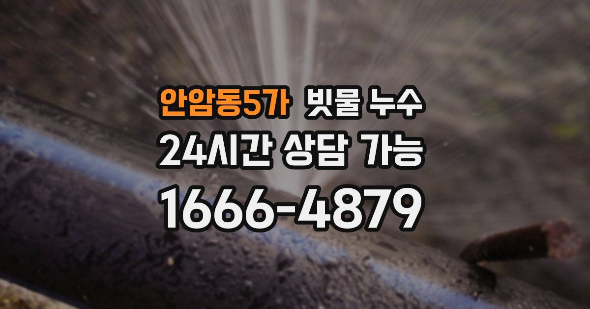 안암동5가 빗물 누수