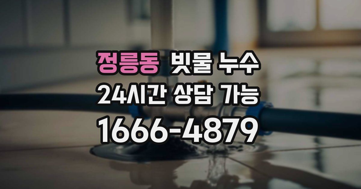 정릉동 빗물 누수
