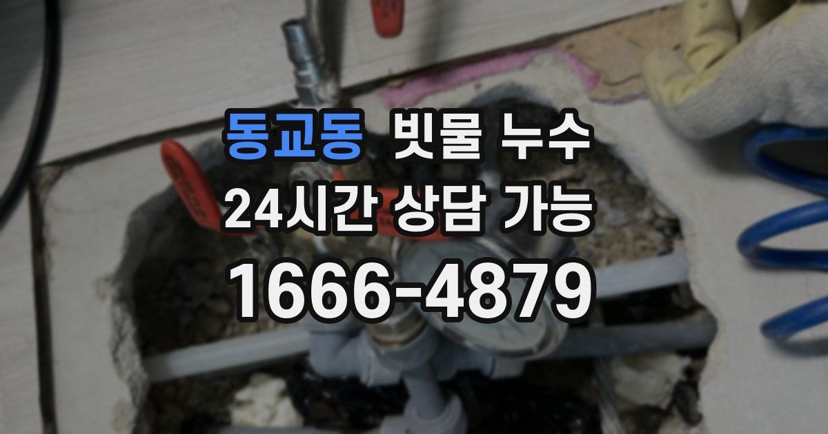 동교동 빗물 누수