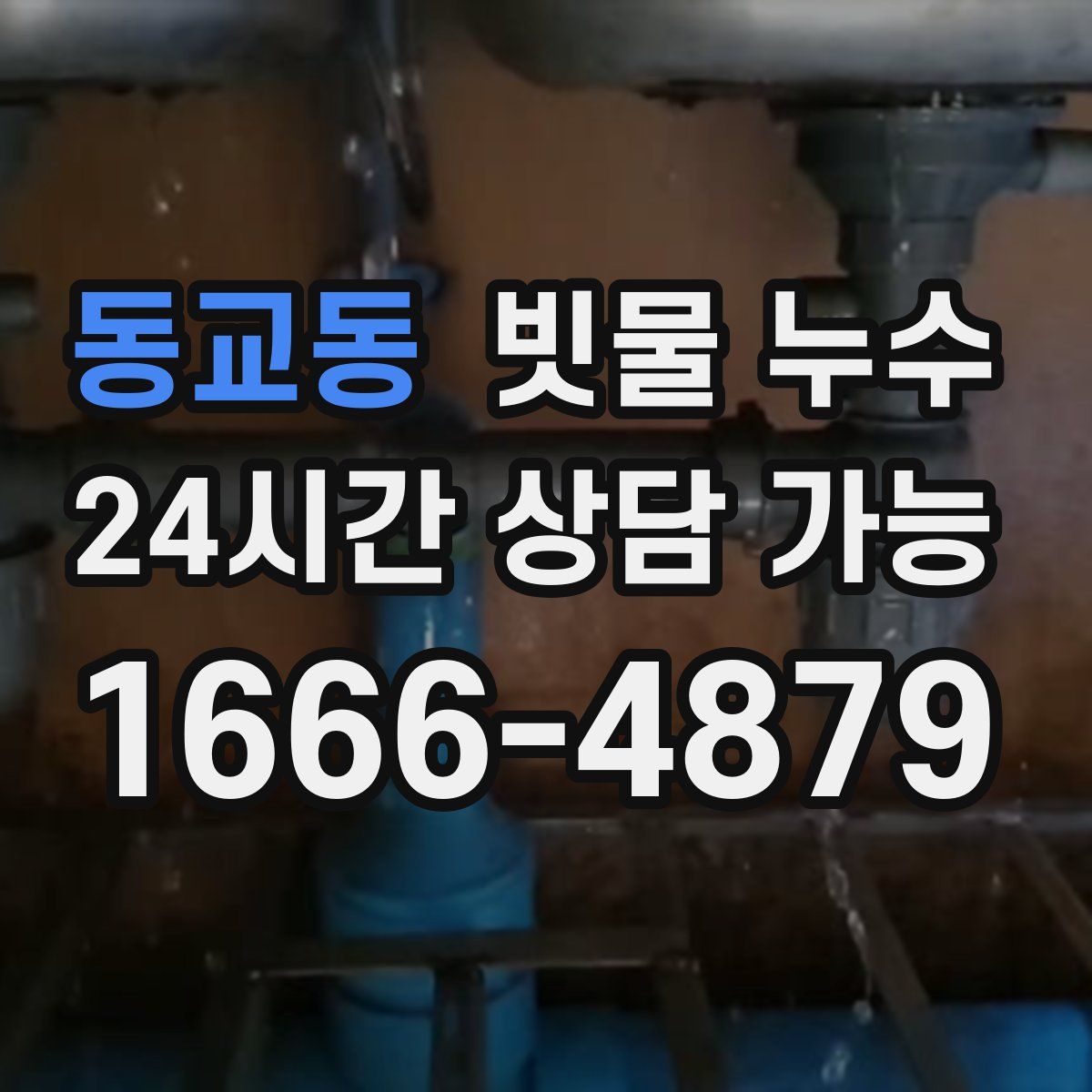 동교동 빗물 누수