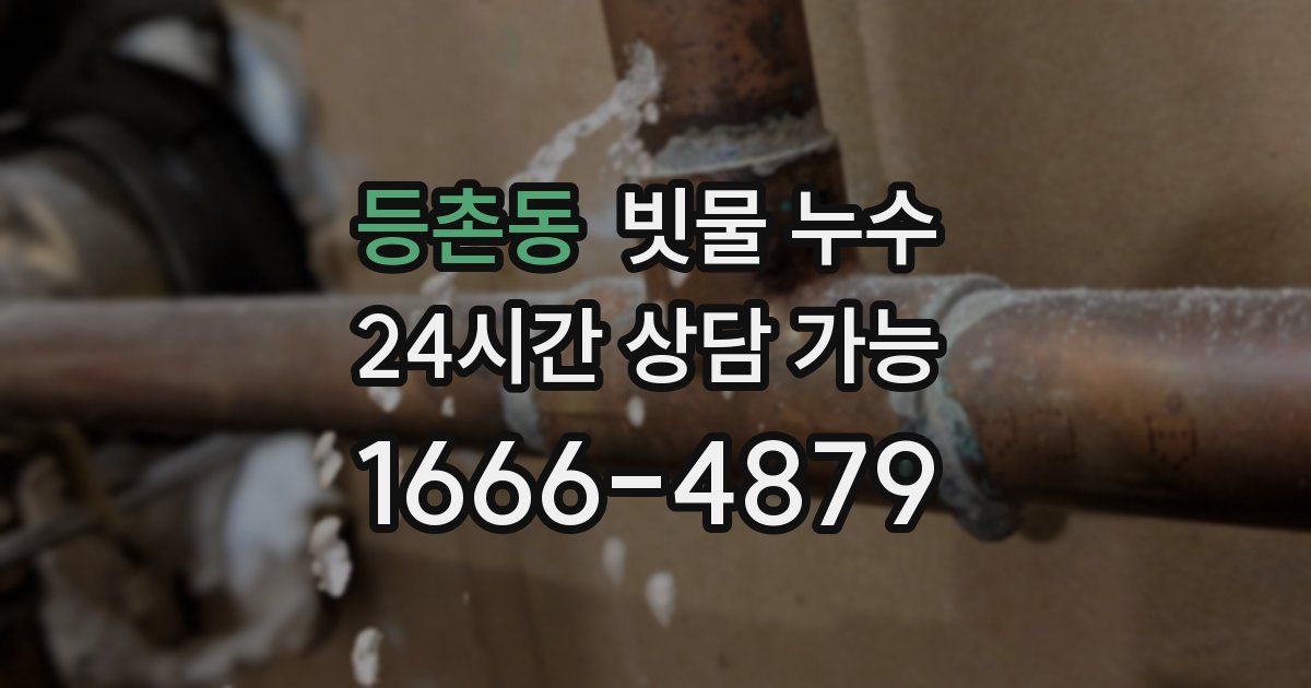 등촌동 빗물 누수