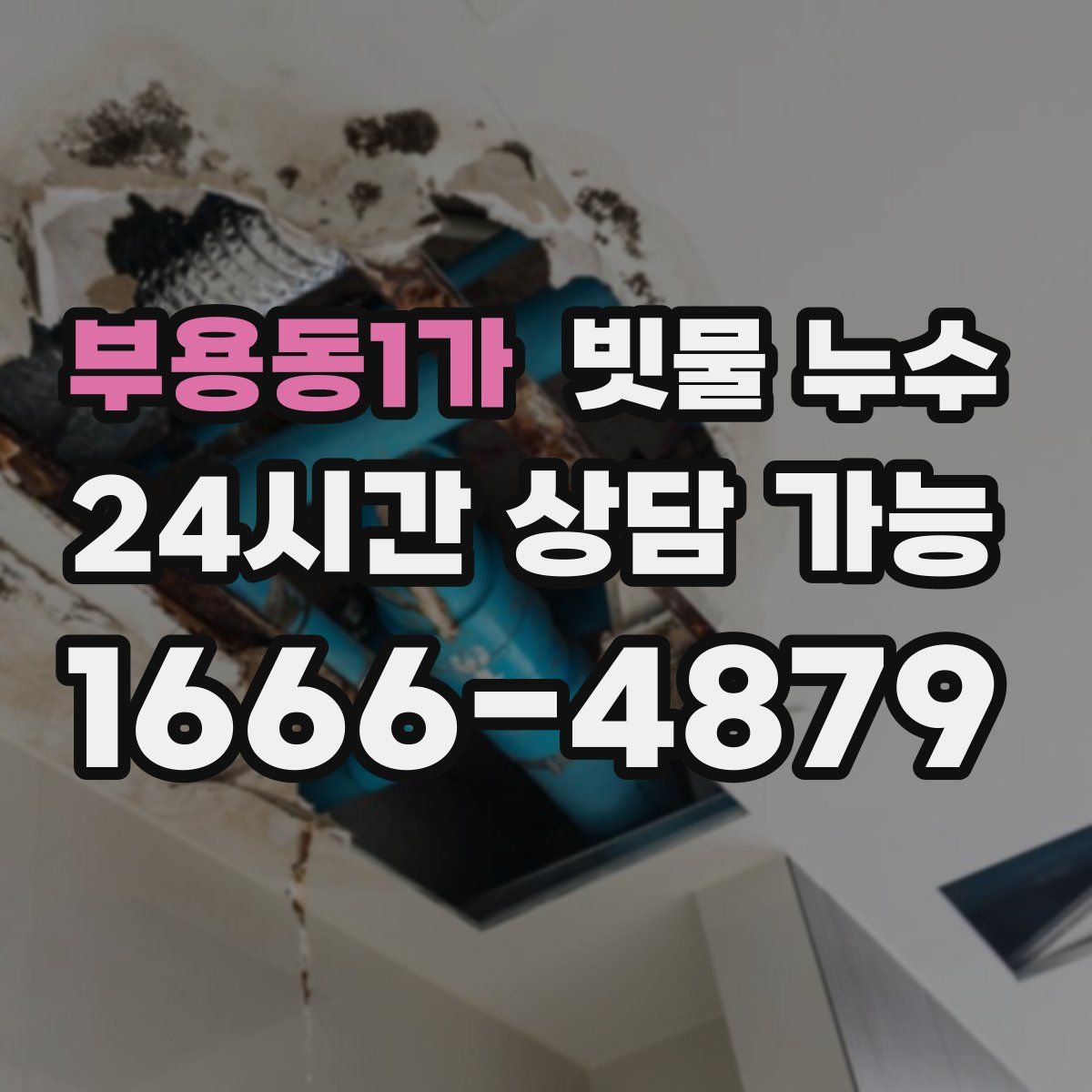 부용동1가 빗물 누수