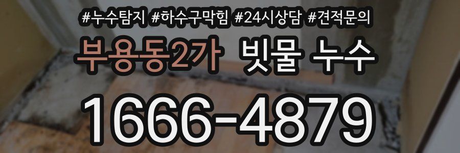 부용동2가 빗물 누수