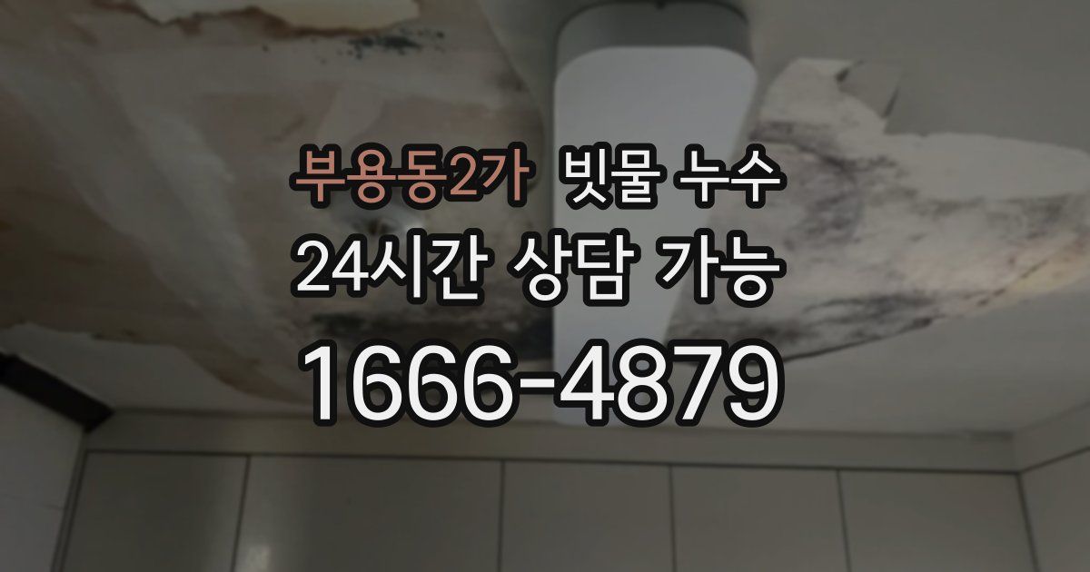 부용동2가 빗물 누수