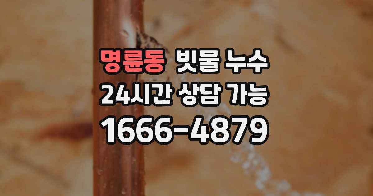 명륜동 빗물 누수