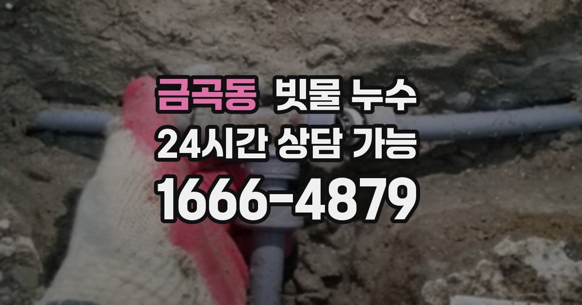 금곡동 빗물 누수